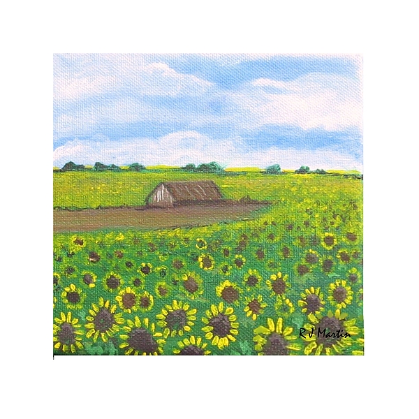 Sunflower Field by Roberta Martin Sunflower Field by Roberta Martin
